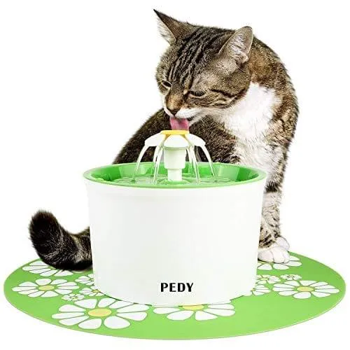 Distributeur automatique 2-en-1 pour animaux avec écran LCD et rappel vocal