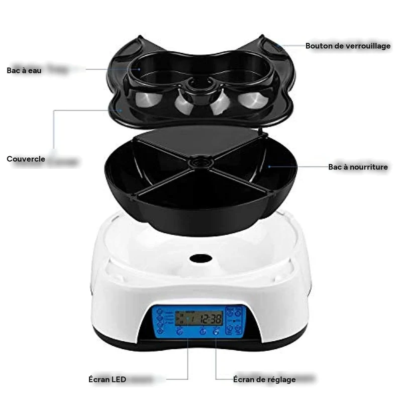 Distributeur automatique 2-en-1 pour animaux avec écran LCD et rappel vocal