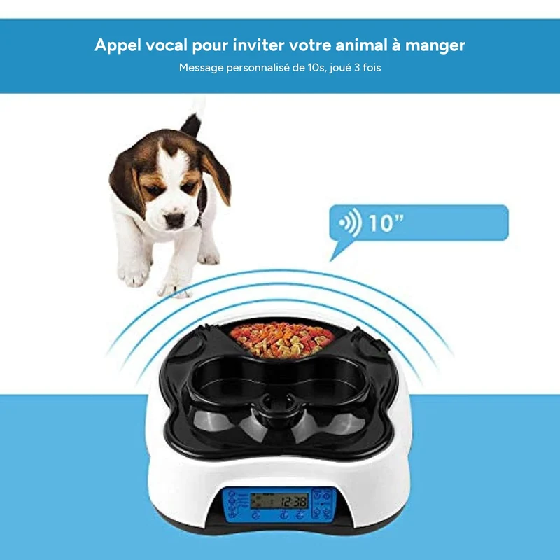 Distributeur automatique 2-en-1 pour animaux avec écran LCD et rappel vocal