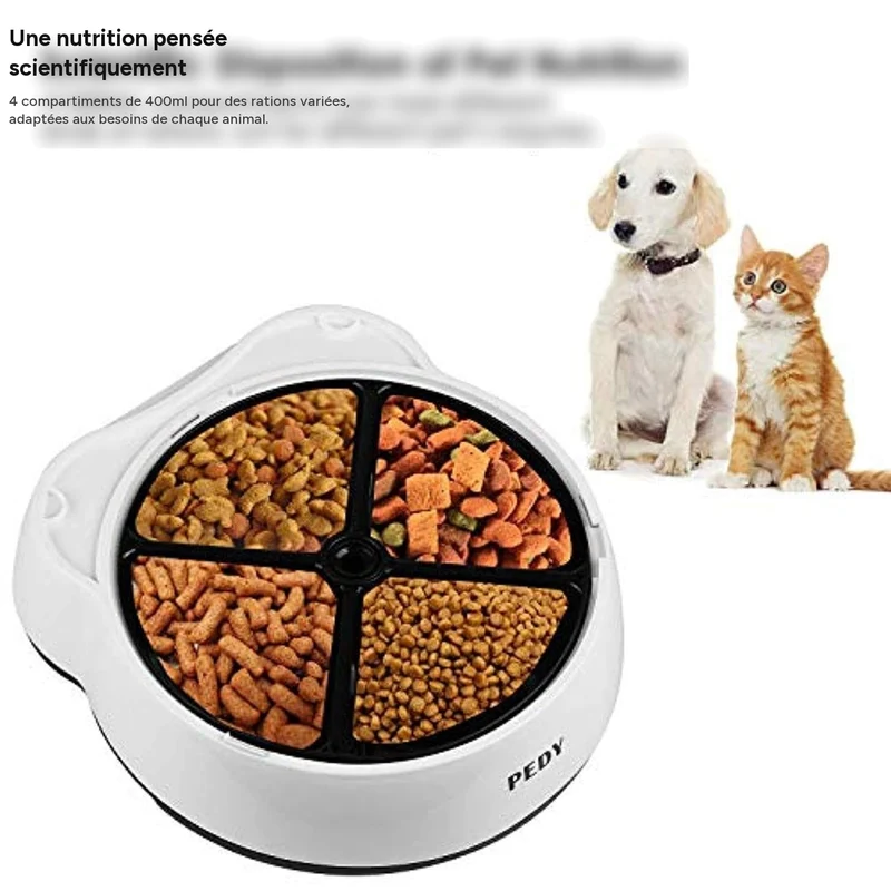Distributeur automatique 2-en-1 pour animaux avec écran LCD et rappel vocal