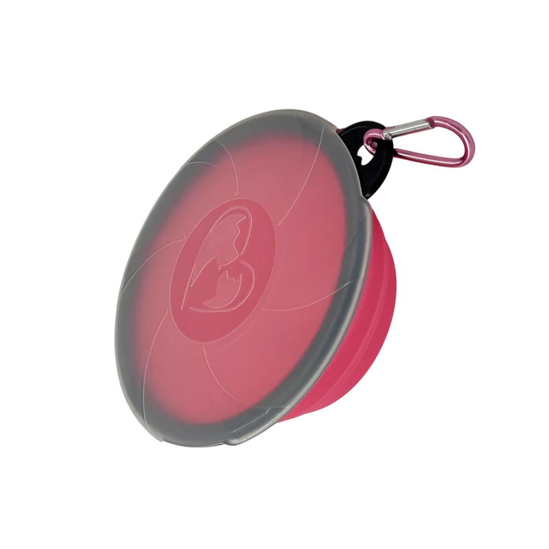 Gamelle pliable en silicone avec couvercle