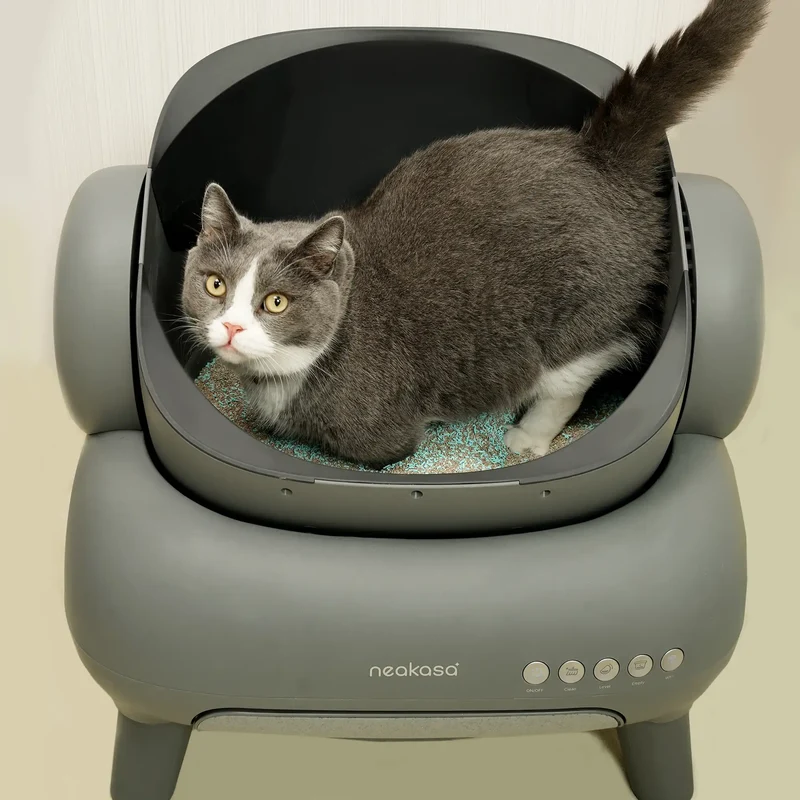 Neakasa Désodorisant de litière pour chats