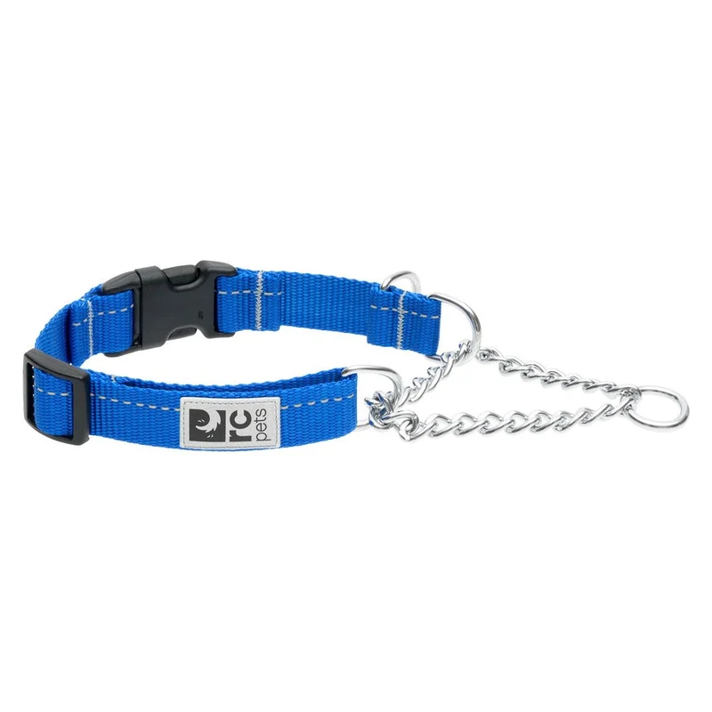 Collier de Dressage Ajustable de Base - RC Pets