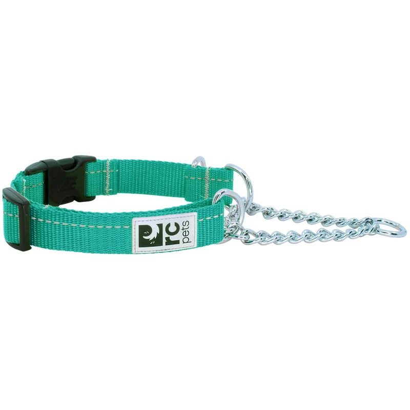Collier de Dressage Ajustable de Base - RC Pets