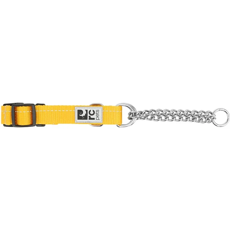 Collier de Dressage Ajustable de Base - RC Pets