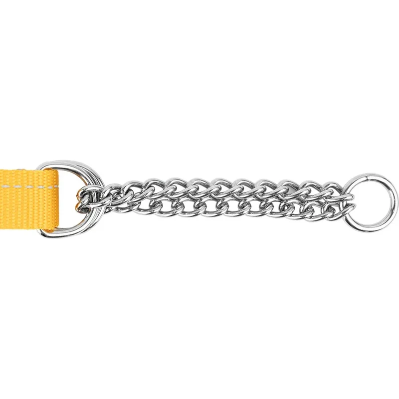 Collier de Dressage Ajustable de Base - RC Pets