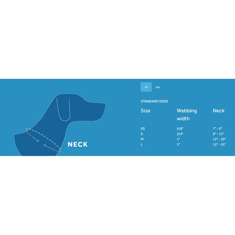 Collier en Nylon Ajustable Primary - RC Pets