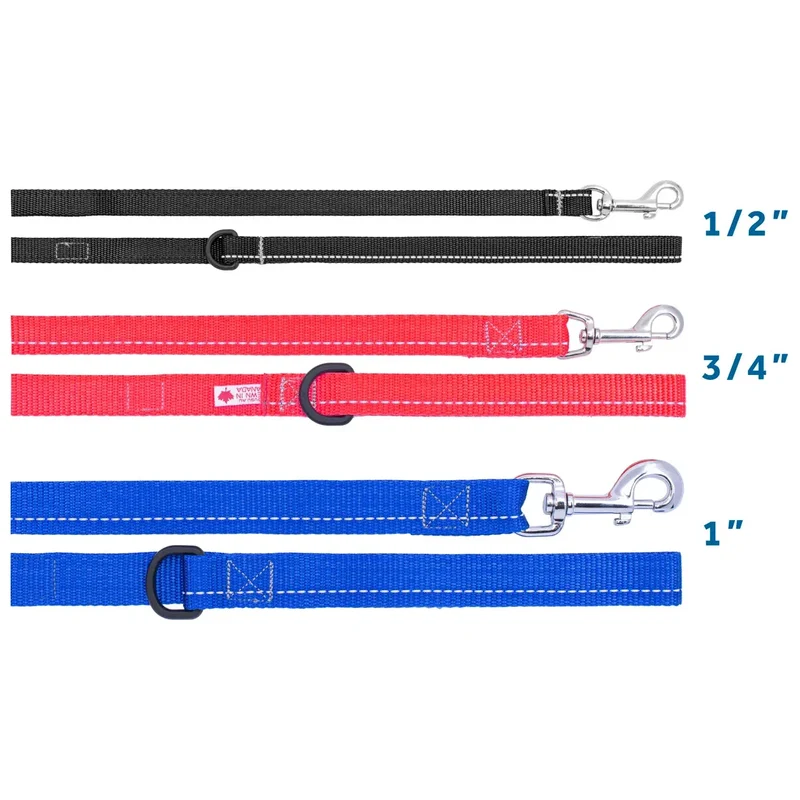 Laisse en Nylon Primary - RC Pets