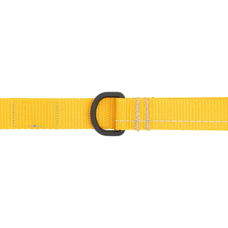 Laisse en Nylon Primary - RC Pets