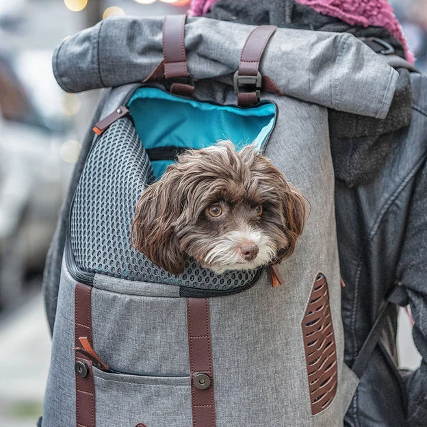 Sac à Dos Rucksack