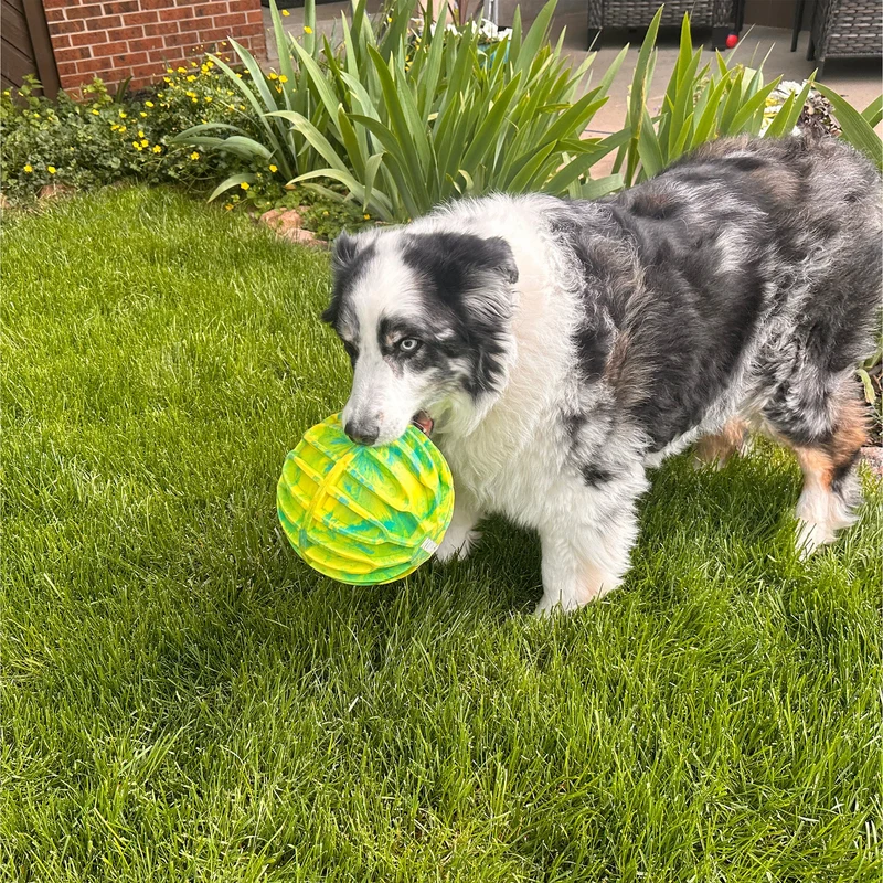 FlexBall - Ballon Flottant