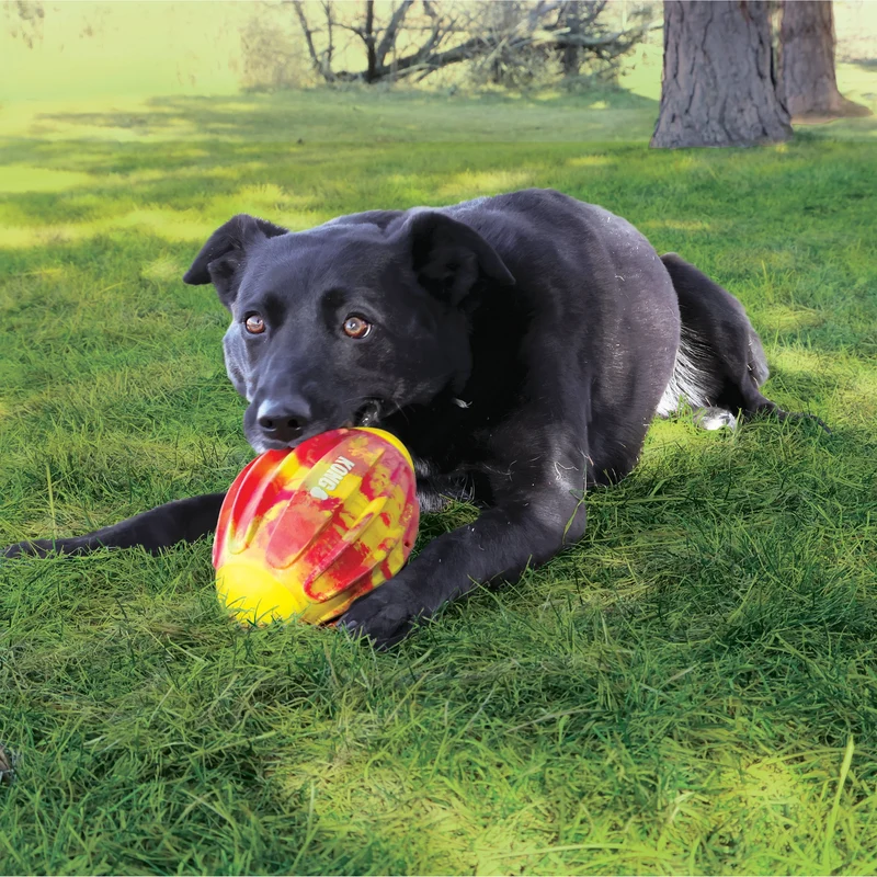 FlexBall - Balle de Football