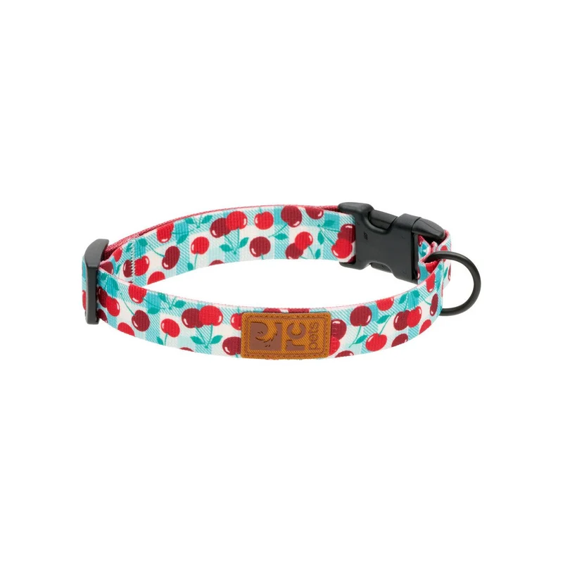 Collier Éco - RC Pets