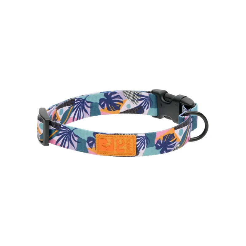 Collier Éco - RC Pets