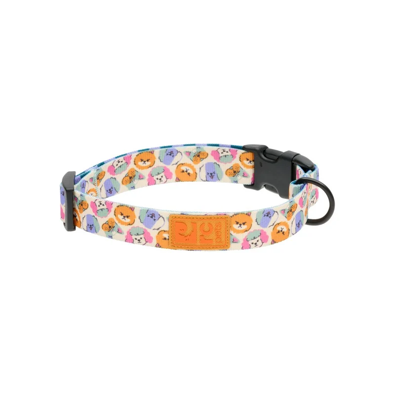 Collier Éco - RC Pets