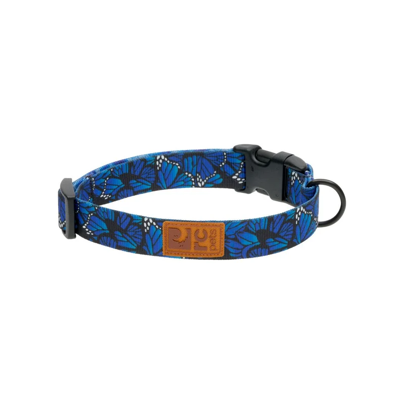 Collier Éco - RC Pets