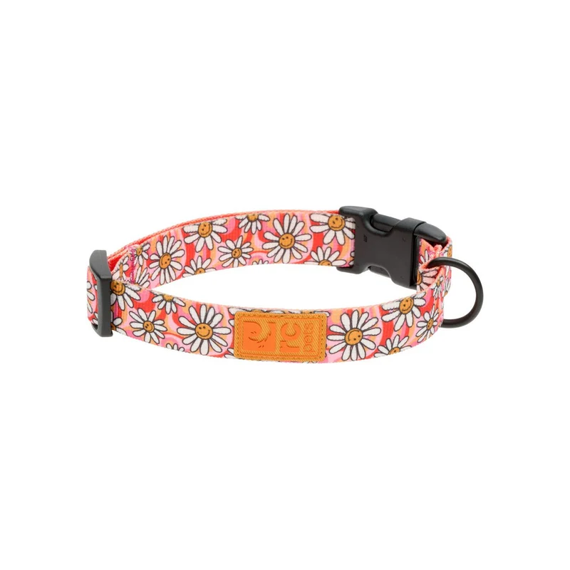 Collier Éco - RC Pets