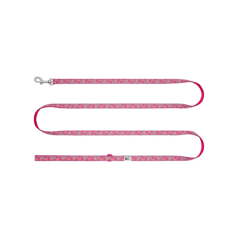 Laisse à Motifs en Nylon pour Petits Chiens - RC Pets