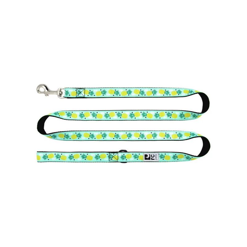 Laisse à Motifs en Nylon - RC Pets