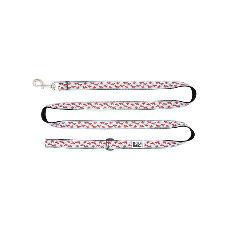 Laisse à Motifs en Nylon - RC Pets