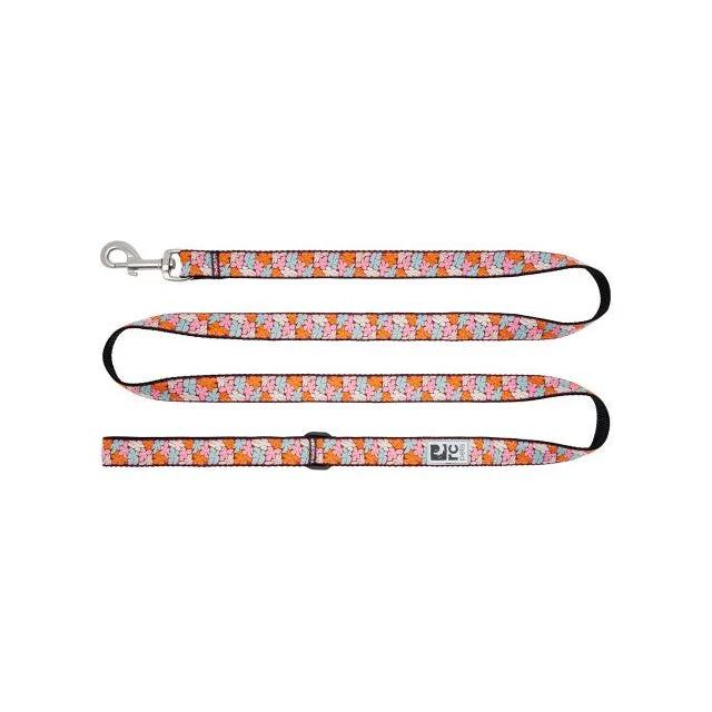 Laisse à Motifs en Nylon - RC Pets