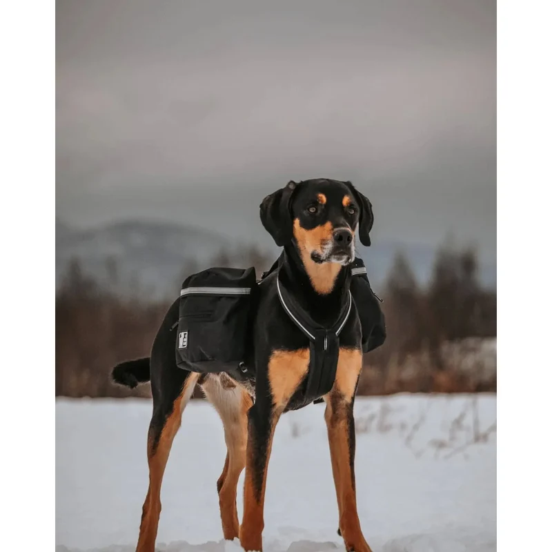 Sac à Dos Expédition