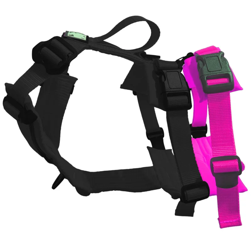 Harnais Horizon Le Chien Blanc