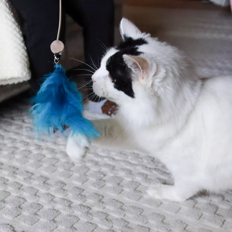Agace-Chat Télescopique avec Laser