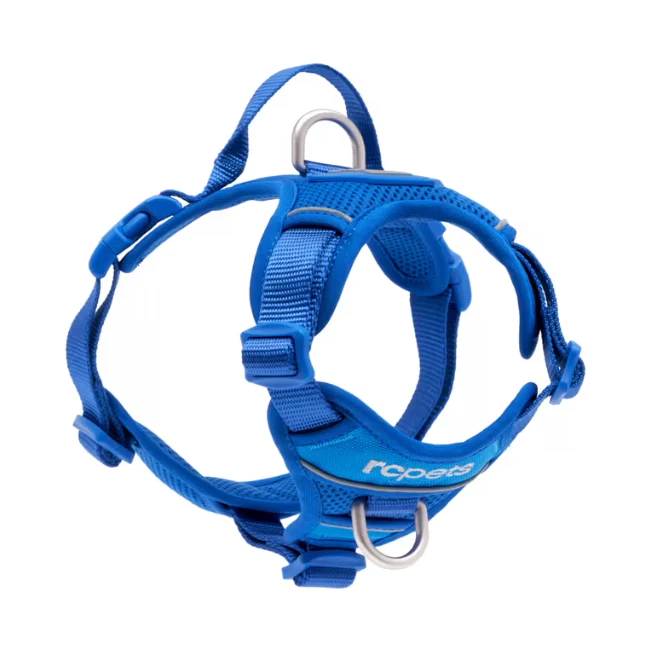 Harnais de Marche Momentum - RC Pets
