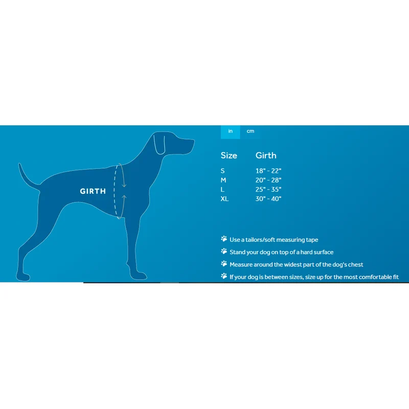 Harnais de Marche Momentum - RC Pets