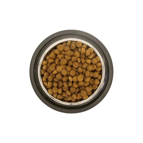 Nourriture pour Chiens Toutes Étapes de Vie au Poulet