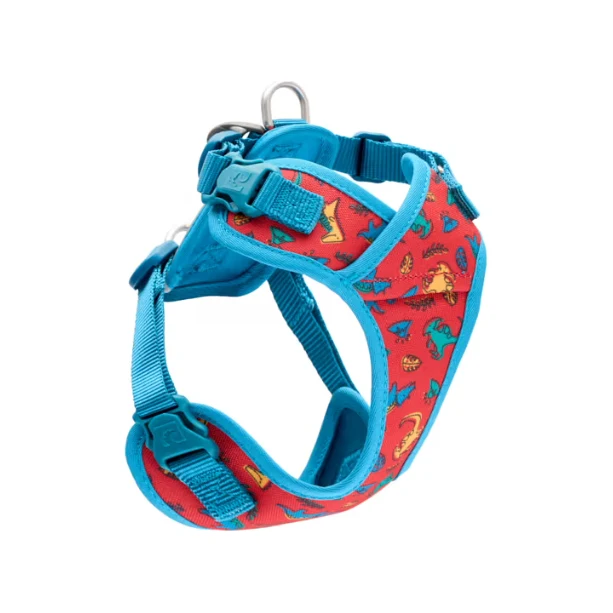 Harnais Explorer pour Petits Chiens - RC Pets