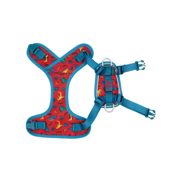 Harnais Explorer pour Petits Chiens - RC Pets