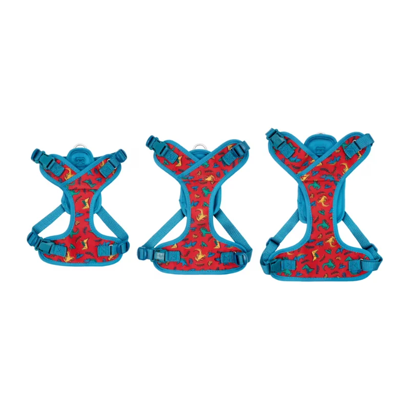 Harnais Explorer pour Petits Chiens - RC Pets
