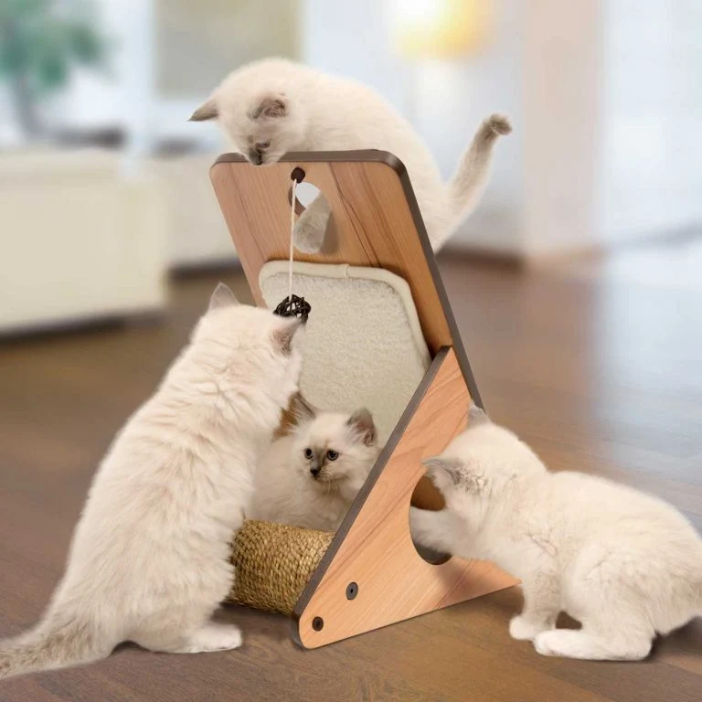 Catit Vesper monde à explorer pour chats