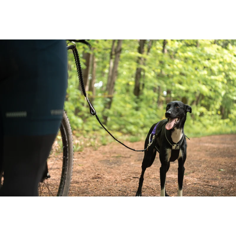 Harnais de Traction Ajustable Trac - Le Chien Blanc