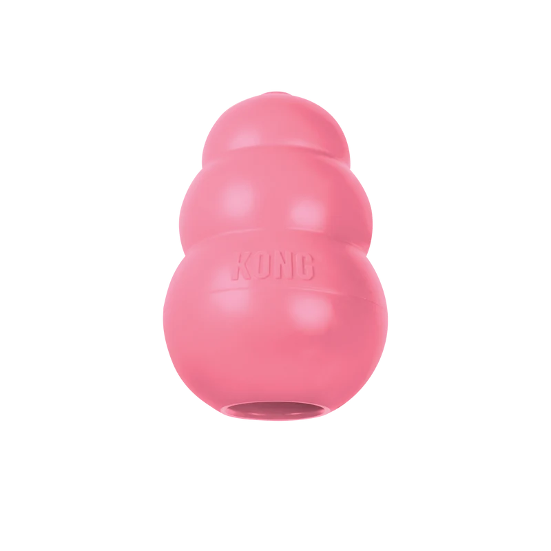 Kong - Chiot