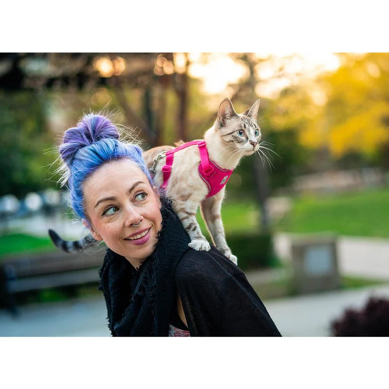 Harnais Aventure pour Chats RC Pets