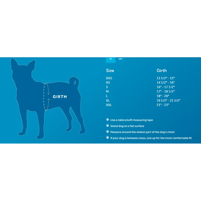 Harnais de Marche Step In Cirque - RC Pets