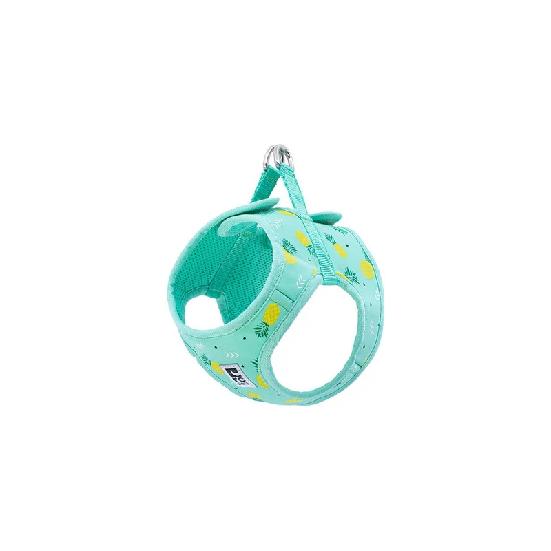 Harnais de Marche Step In Cirque - RC Pets