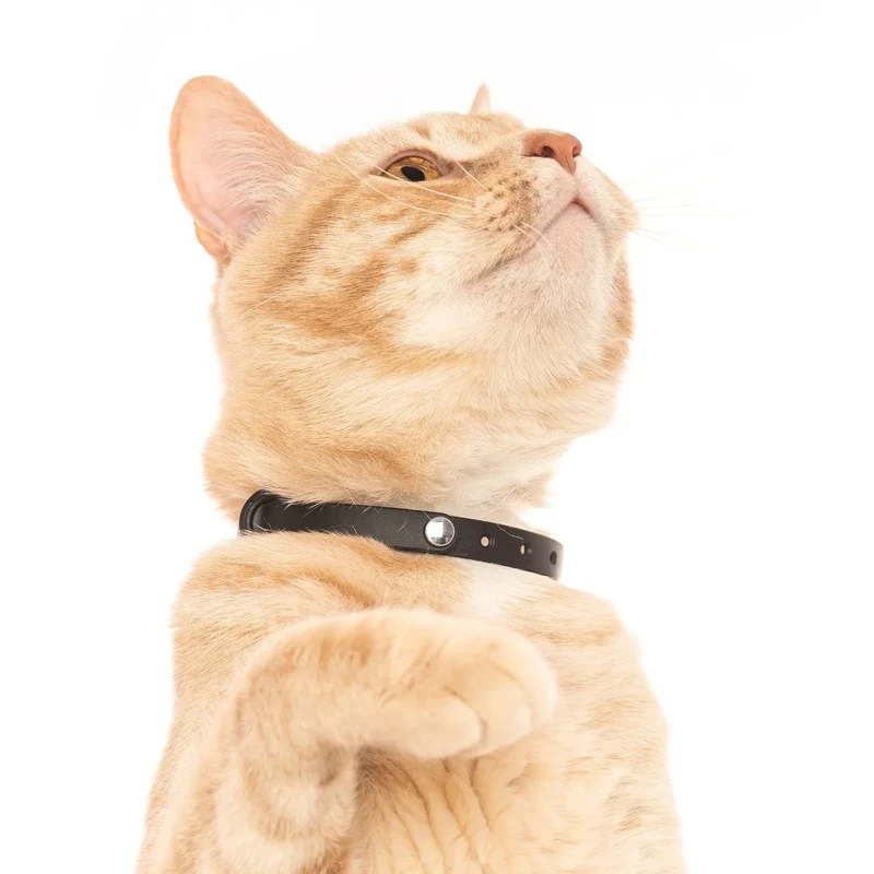 Collier Ajustable & Détachable Nuvuq