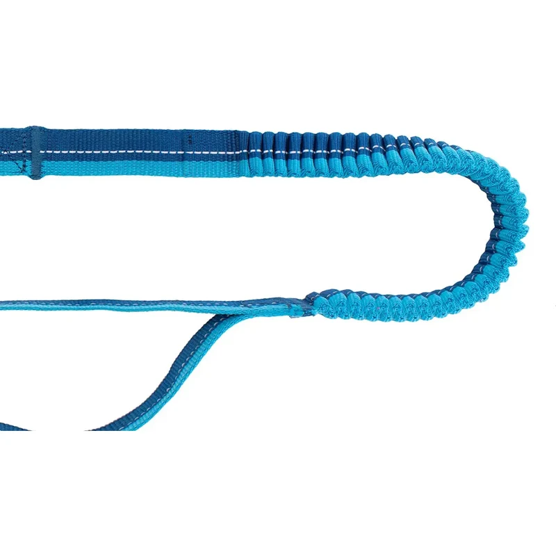 Laisse Bungee Multifonction Active RC Pets