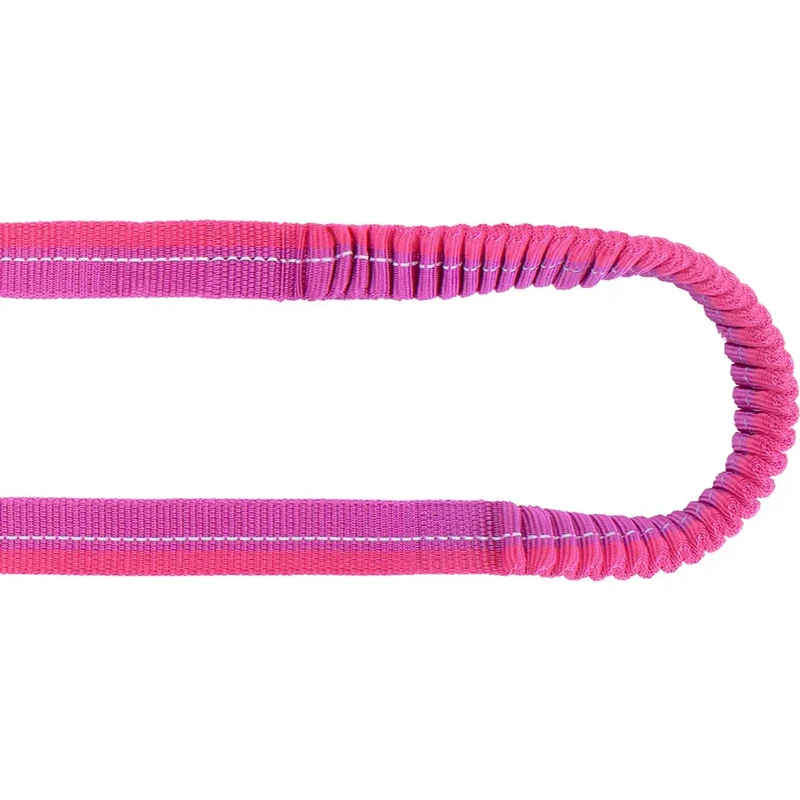 Laisse Bungee RC Pets