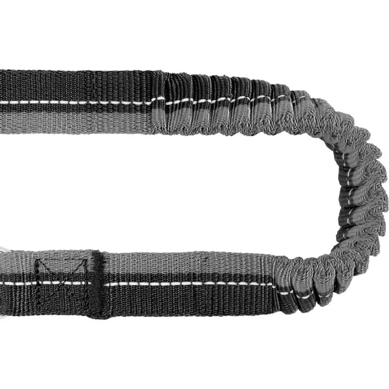 Coupleur Élastique Bungee RC Pets