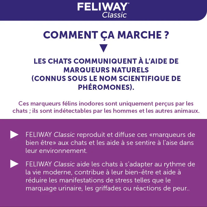 Classic - Diffuseur avec Kit de Départ de 30 Jours