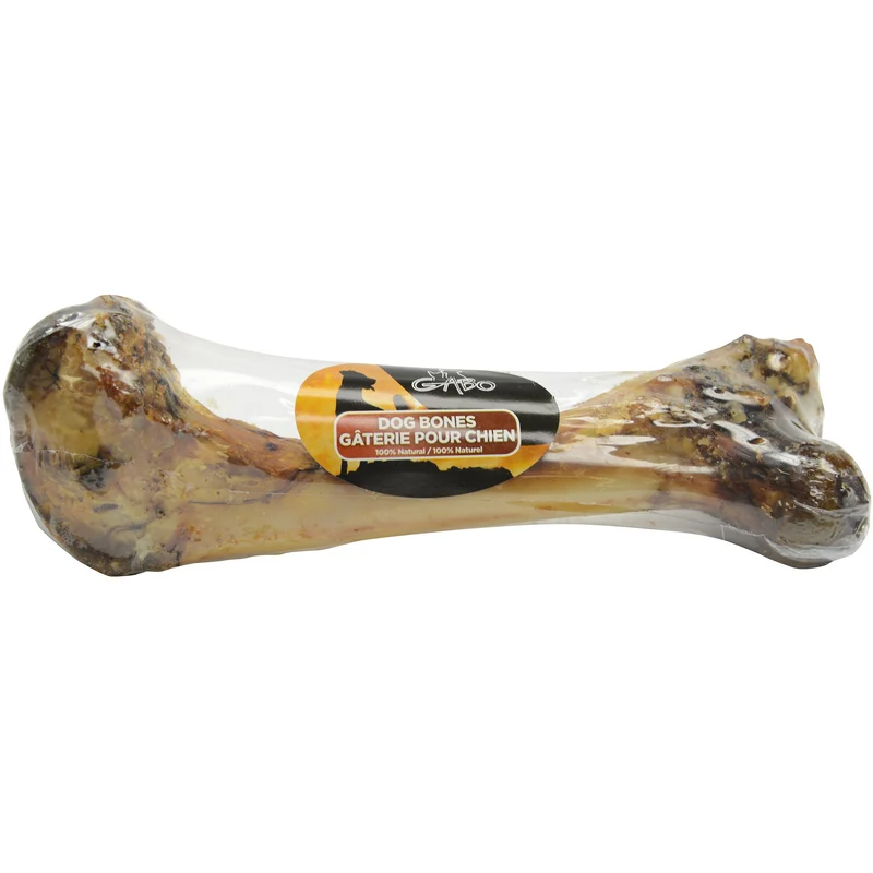 Fémur de Porc