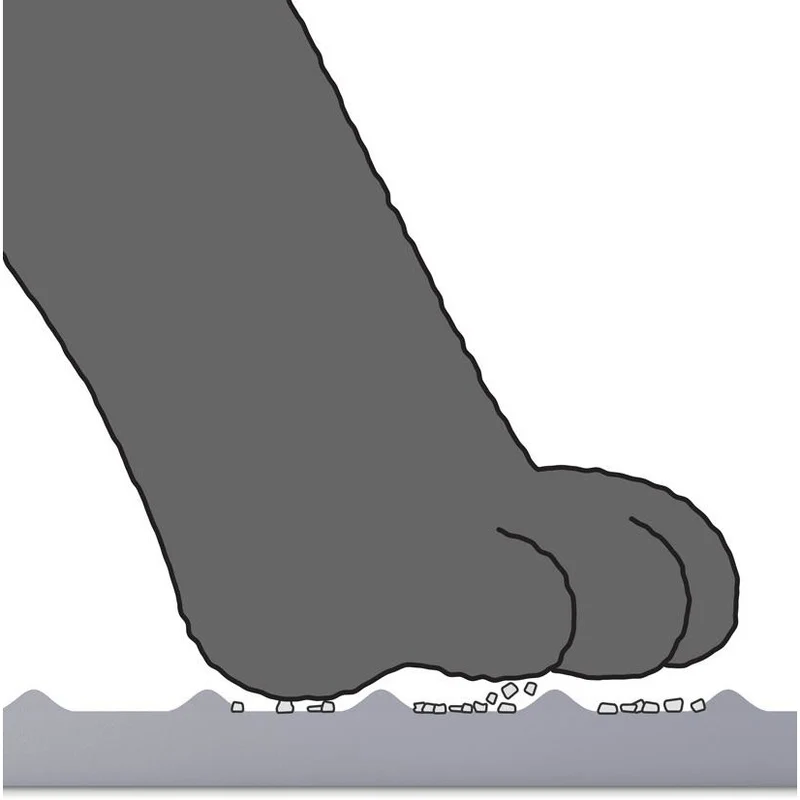 Tapis à Litière