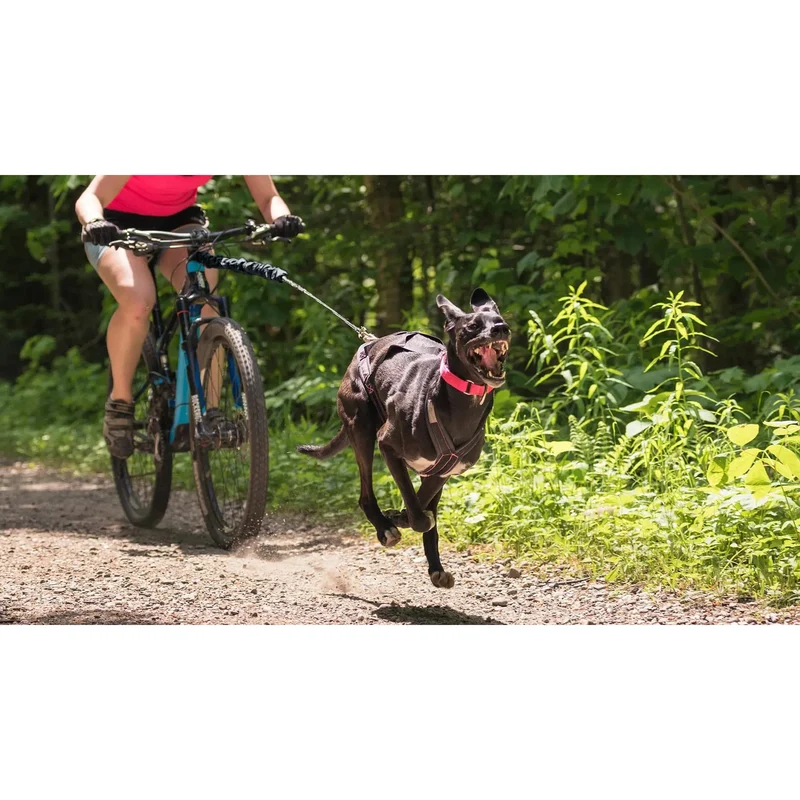 Ligne Bungee pour Bikejoring - Nahak