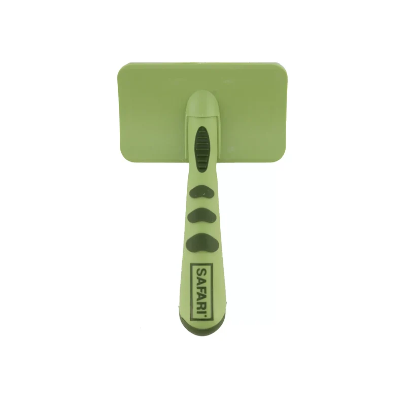 Brosse à Bouts en Nylon