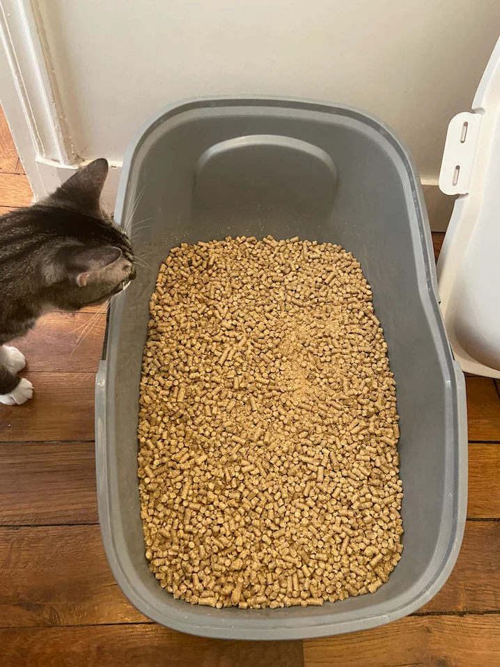 Litière végétale BIO - Chat